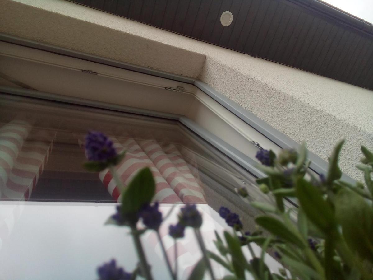 Domki Osada Kalinowa Leba Nowecin Sauna ภายนอก รูปภาพ